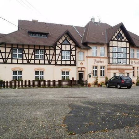 Penzion U Zamku Habartov Exteriör bild
